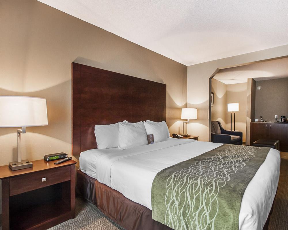Comfort Inn Us Hwy 80 Demopolis Экстерьер фото