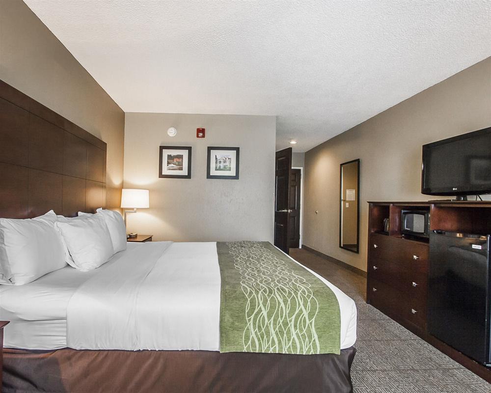Comfort Inn Us Hwy 80 Demopolis Экстерьер фото